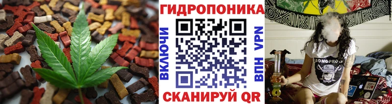 Canna-Cookies марихуана  как найти   Тимашёвск 