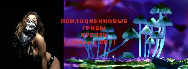 молекула духа Алексин