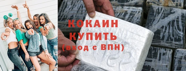 индика Алексеевка