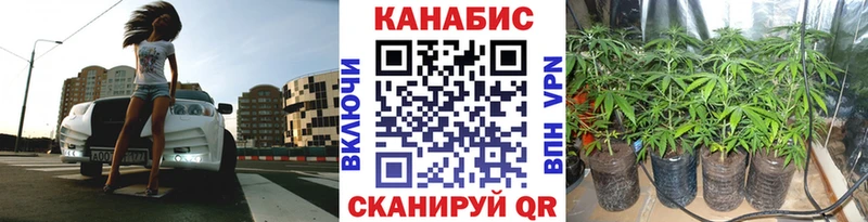 Шишки марихуана Bruce Banner наркота ОМГ ОМГ как войти Тимашёвск